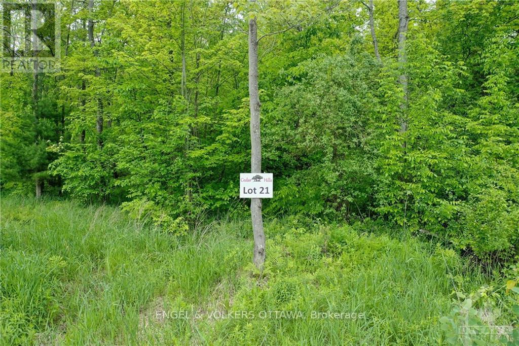 21 - 212 Terbol Court, Ottawa, Ontario  K2W 0E7 - Photo 7 - X9517176