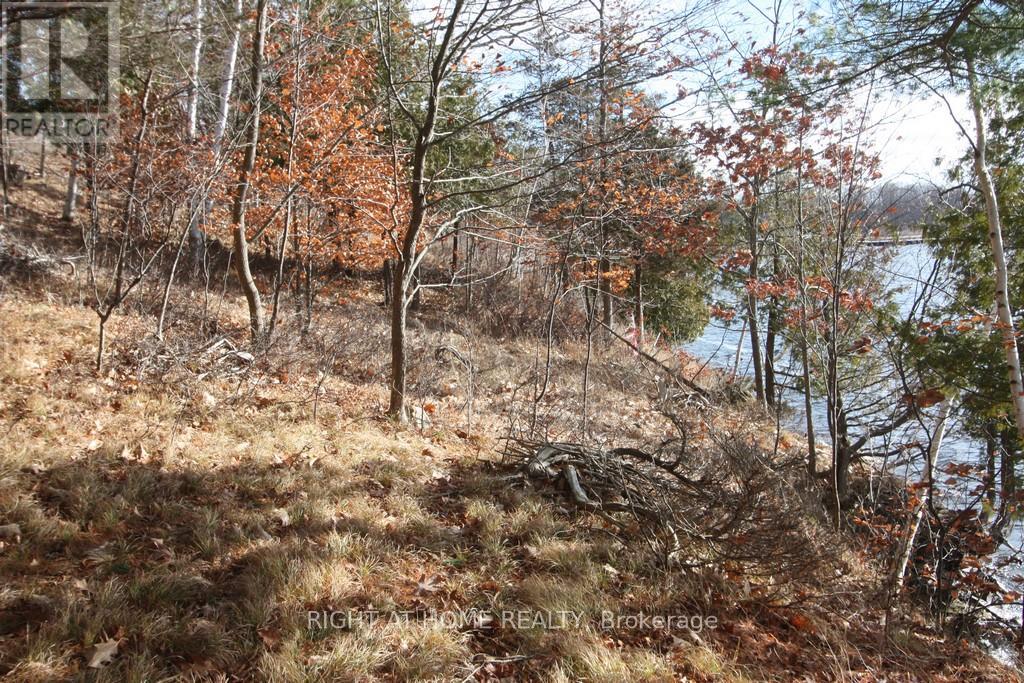 00 Hopper Lane, Rideau Lakes, Ontario  K0G 1V0 - Photo 3 - X12142067