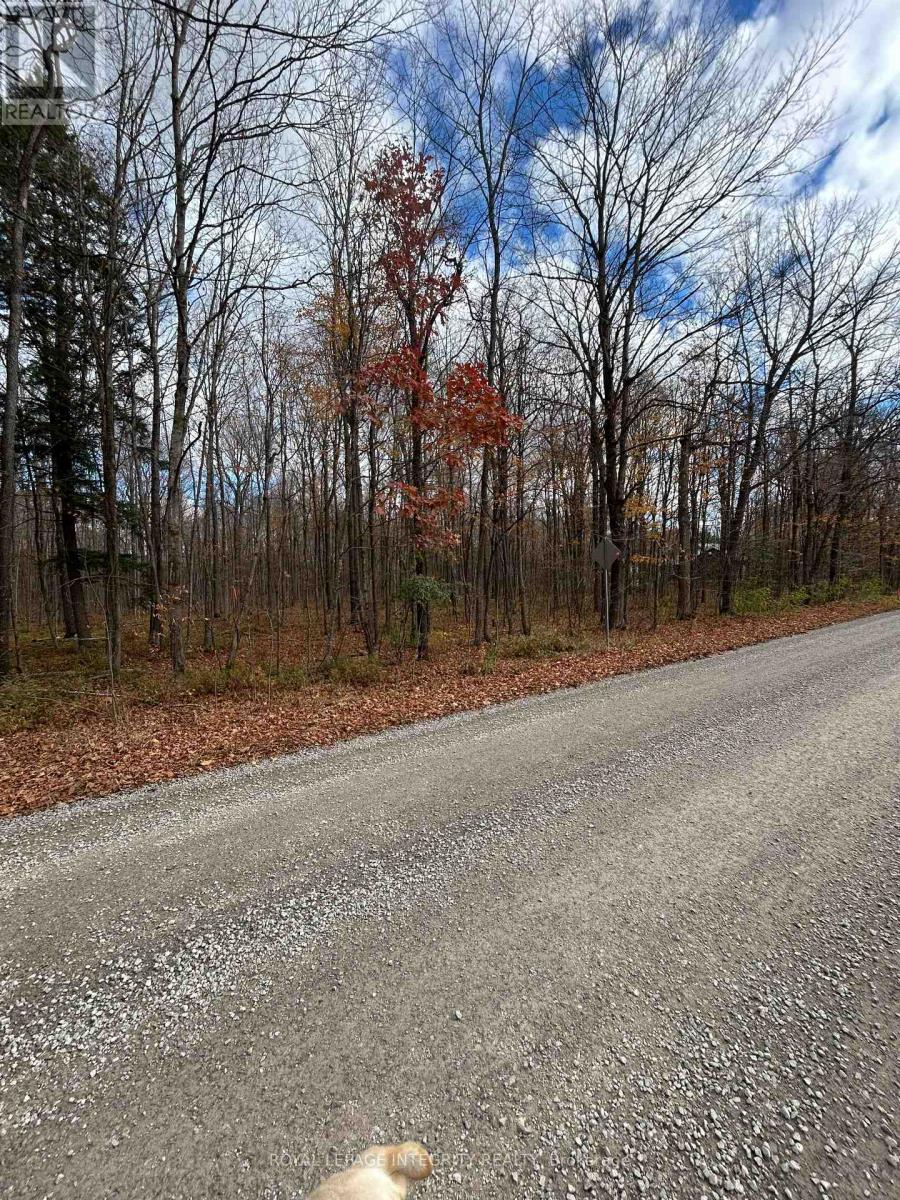 Pt Lt 17 Kyle Road, Augusta, Ontario  K0G 1R0 - Photo 1 - X12263906