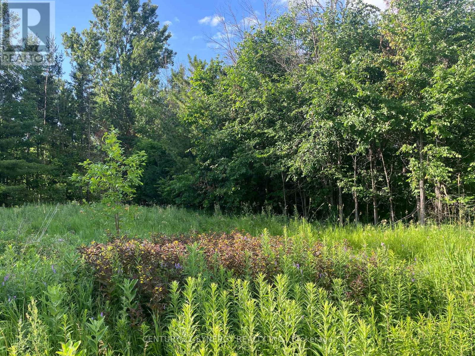 00 Russett Drive, Mcnab/braeside, Ontario  K7S 3G8 - Photo 17 - X12275599