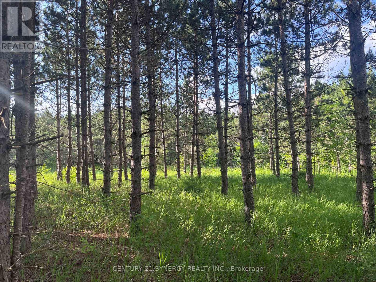 00 Russett Drive, Mcnab/braeside, Ontario  K7S 3G8 - Photo 22 - X12275599