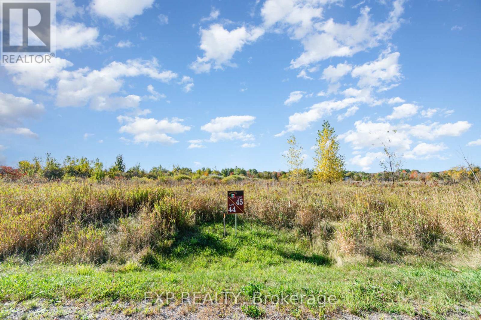 31 Synergy Way, Ottawa, Ontario  K2K 1X7 - Photo 3 - X12441805