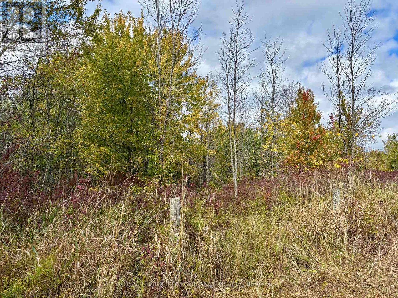 0 Pt Lt 8 South Shore Road, Frontenac Islands, Ontario  K0H 2S0 - Photo 25 - X12453911