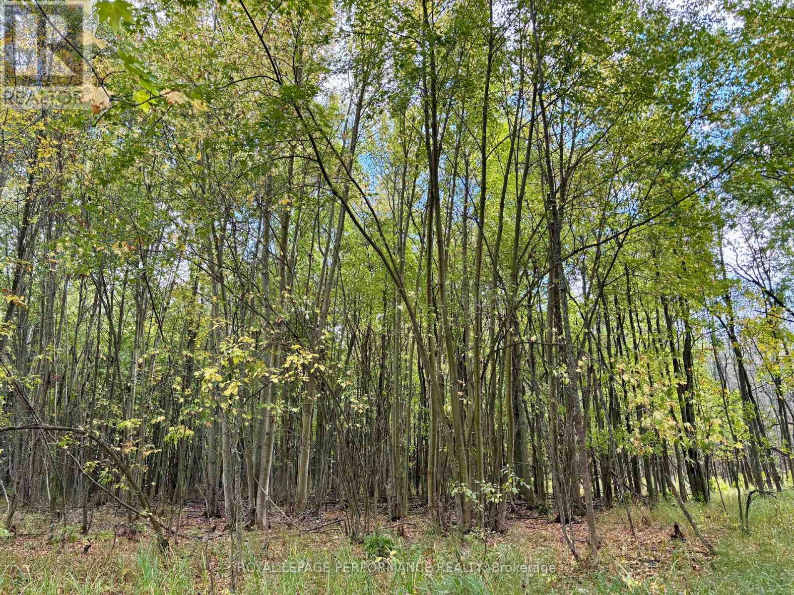 0 Pt Lt 8 South Shore Road, Frontenac Islands, Ontario  K0H 2S0 - Photo 26 - X12453911