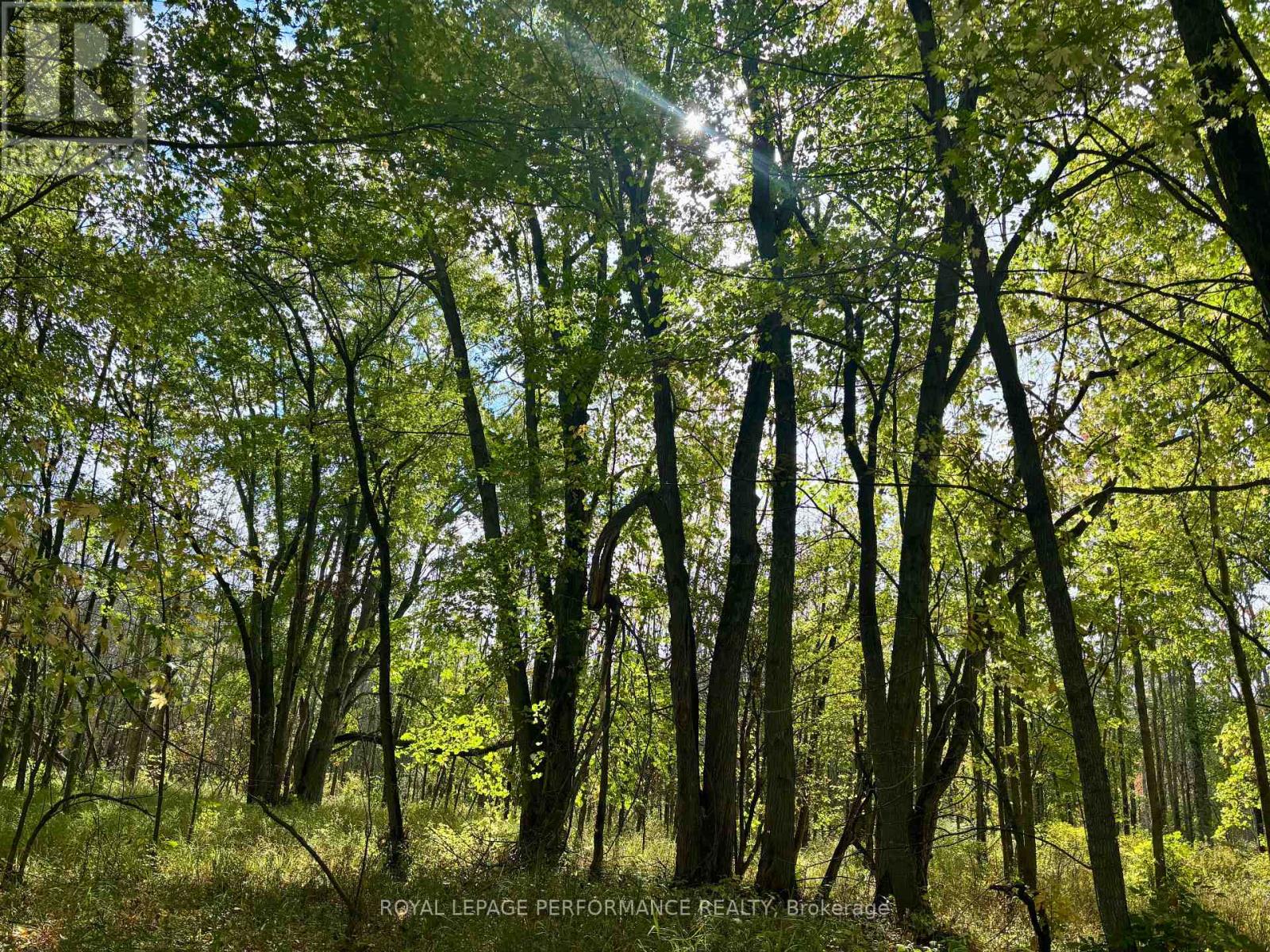 0 Pt Lt 8 South Shore Road, Frontenac Islands, Ontario  K0H 2S0 - Photo 27 - X12453911