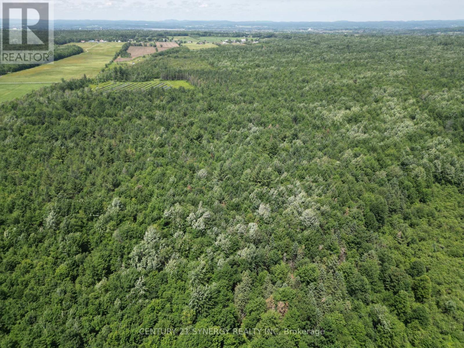 00 Concession 4 Road, Alfred And Plantagenet, Ontario  K0B 1L0 - Photo 9 - X12458221