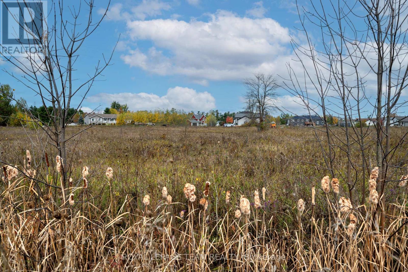 77 Learmonth Avenue, Ottawa, Ontario  K0A 1X0 - Photo 10 - X12460613