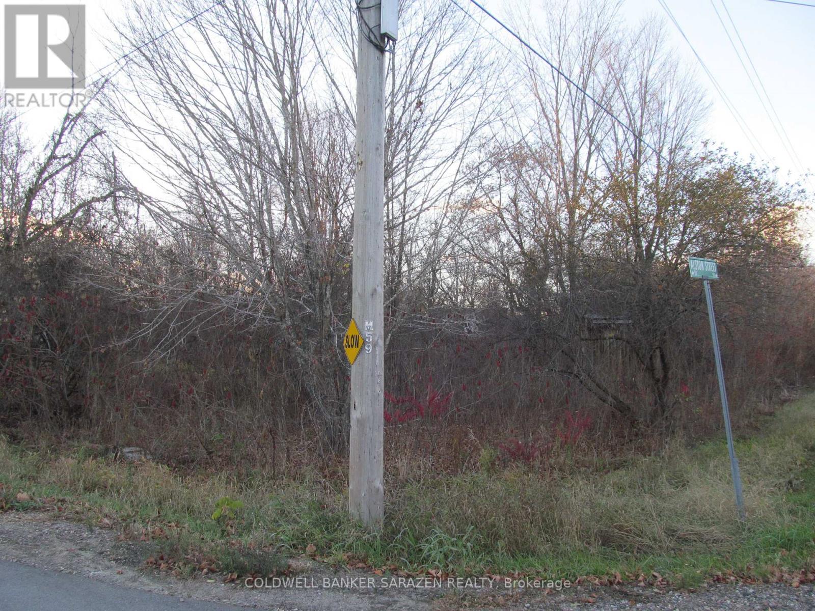 0 Fisher Street N, Mcnab/braeside, Ontario  K0A 3L0 - Photo 2 - X12521308