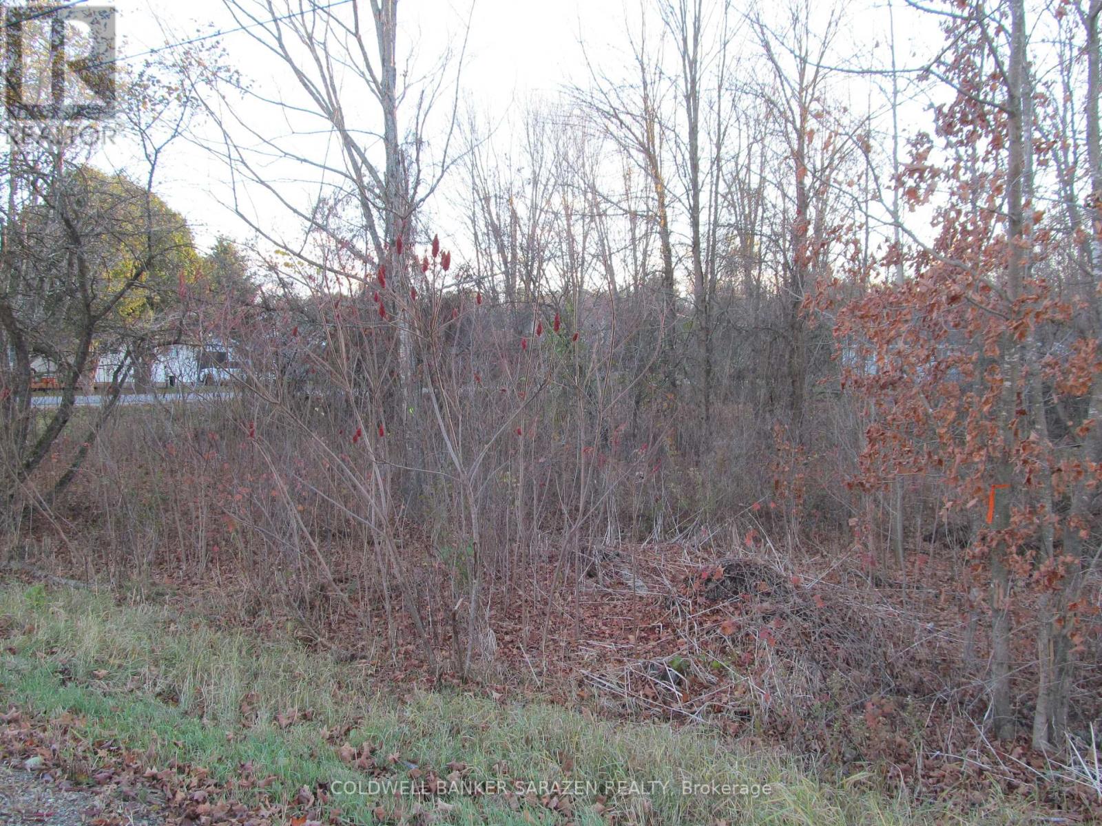 0 Fisher Street N, Mcnab/braeside, Ontario  K0A 3L0 - Photo 3 - X12521308