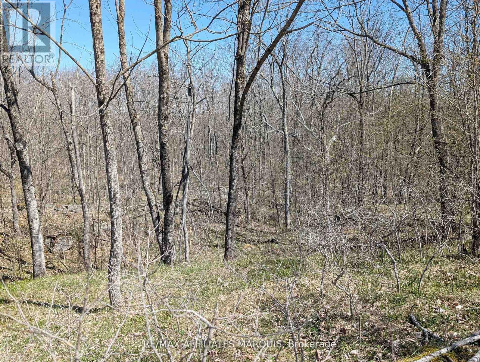 0 Little Crosby Lake Road, Rideau Lakes, Ontario  K0G 1X0 - Photo 3 - X12544026