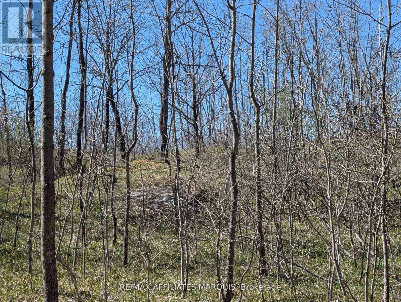 0 Little Crosby Lake Road, Rideau Lakes, Ontario  K0G 1X0 - Photo 4 - X12544026