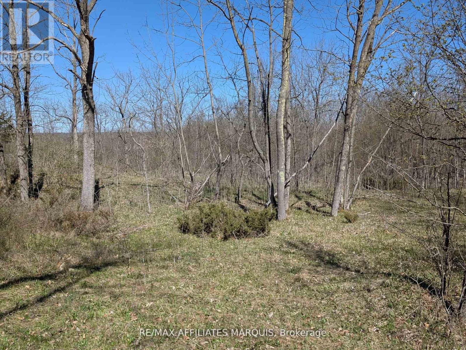 0 Little Crosby Lake Road, Rideau Lakes, Ontario  K0G 1X0 - Photo 5 - X12544026