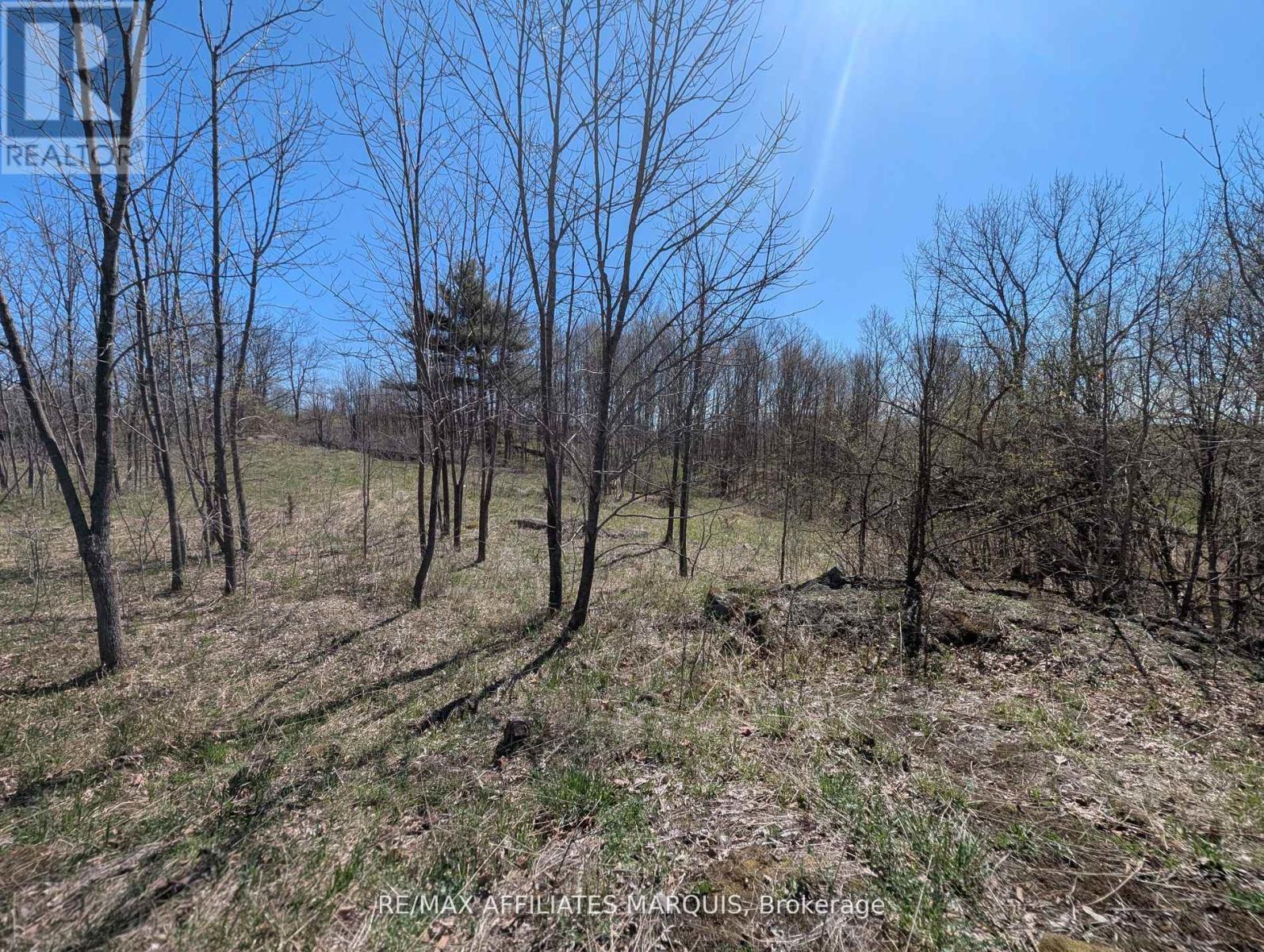 0 Little Crosby Lake Road, Rideau Lakes, Ontario  K0G 1X0 - Photo 7 - X12544026