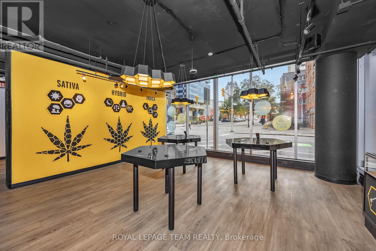 101 - 179 George Street, Ottawa, Ontario  K1N 1J8 - Photo 10 - X12564330