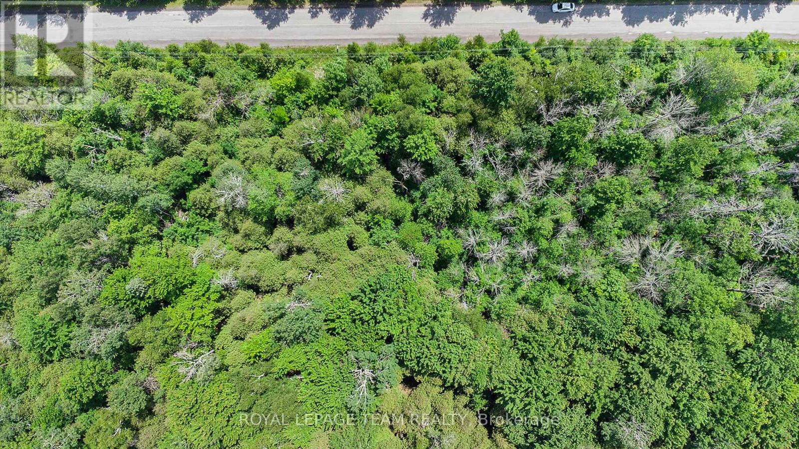 L2-3575 Paden Road, Ottawa, Ontario  K0A 2T0 - Photo 11 - X12577408