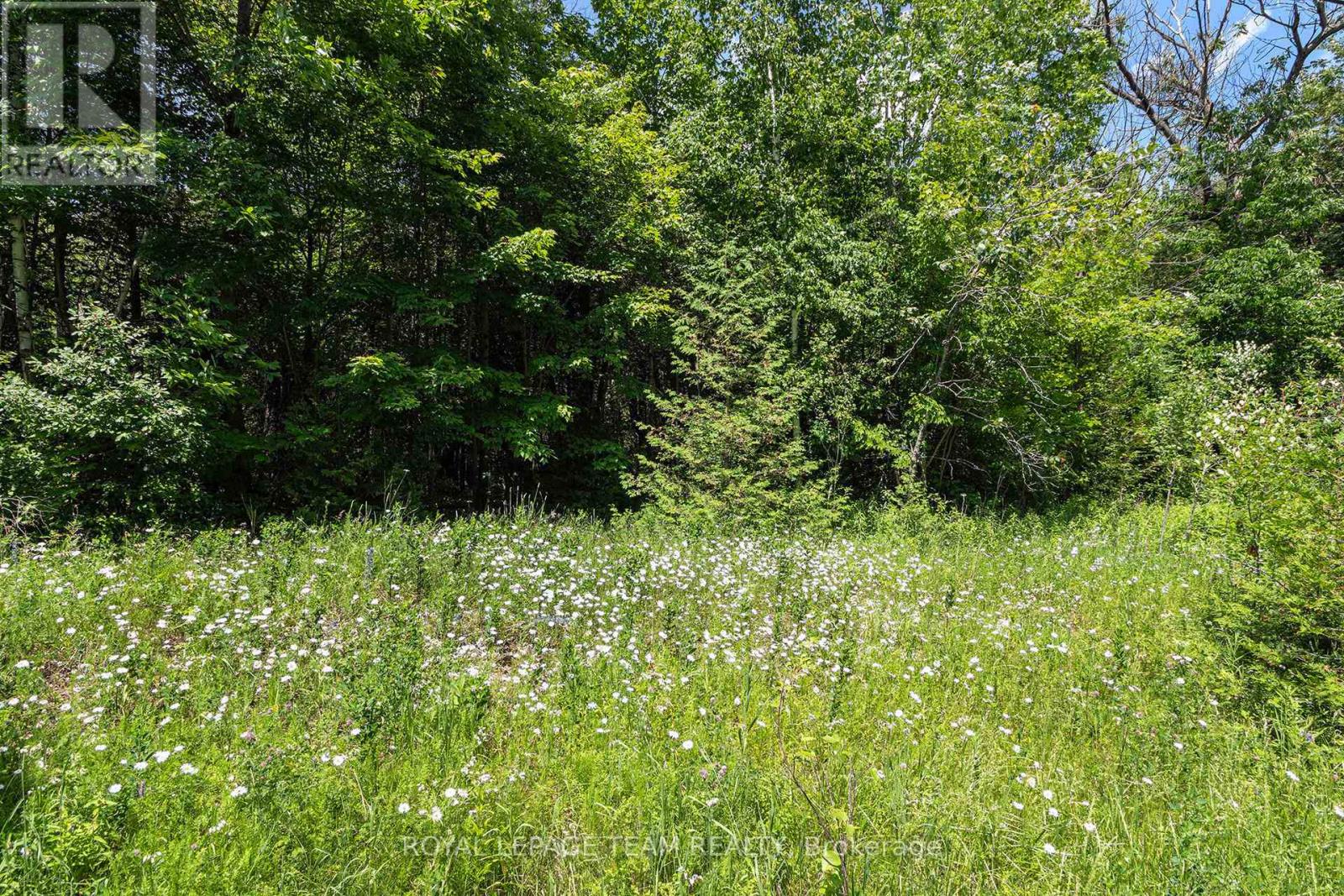 L2-3575 Paden Road, Ottawa, Ontario  K0A 2T0 - Photo 4 - X12577408