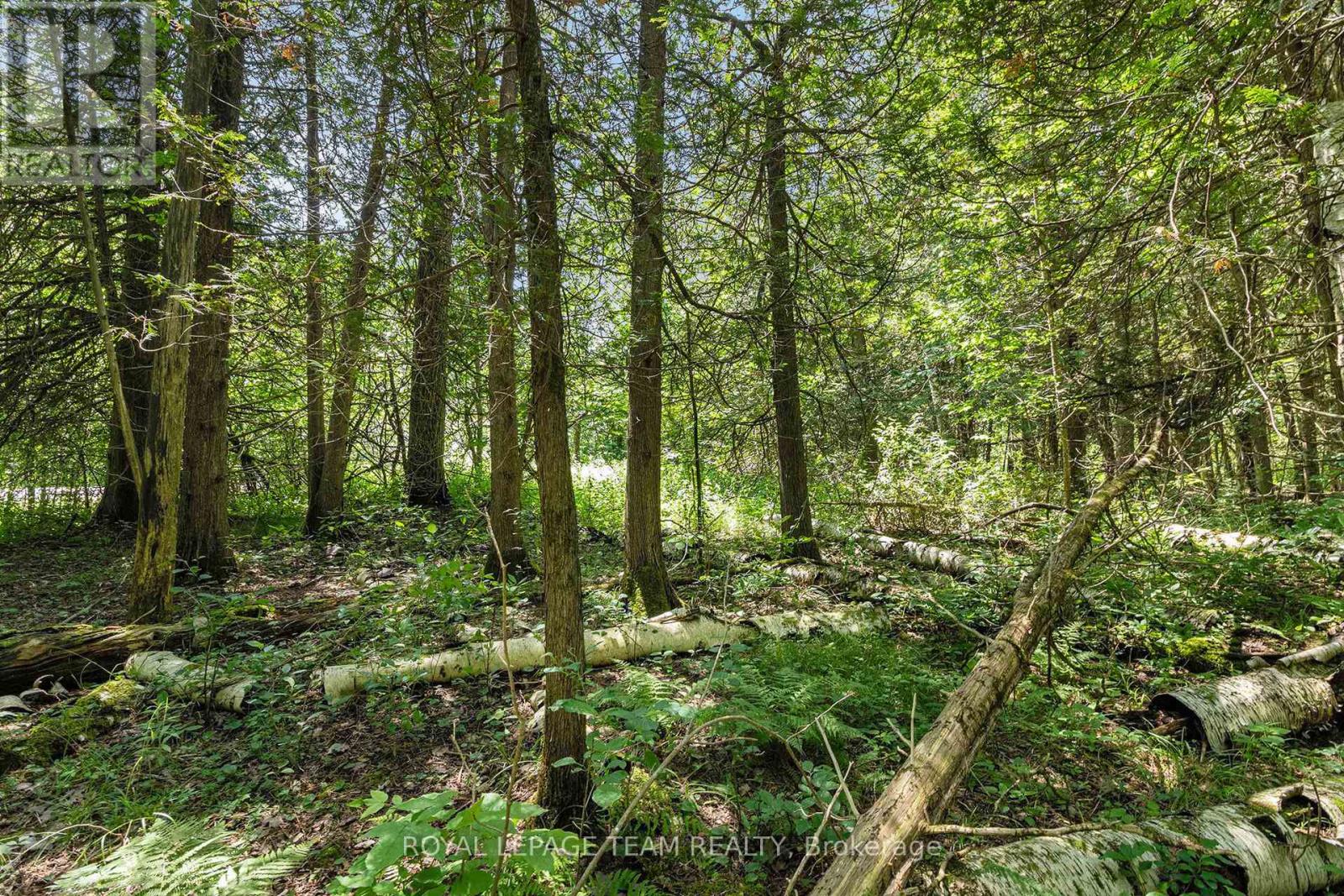 L2-3575 Paden Road, Ottawa, Ontario  K0A 2T0 - Photo 7 - X12577408