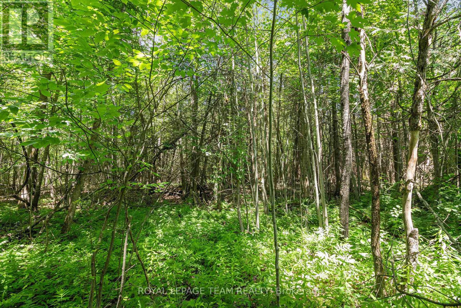 L2-3575 Paden Road, Ottawa, Ontario  K0A 2T0 - Photo 8 - X12577408