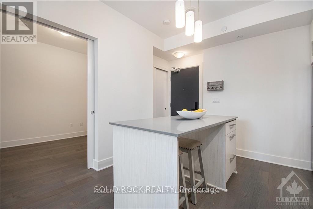213 - 255 Bay Street, Ottawa, Ontario  K1R 5Z4 - Photo 14 - X12738176