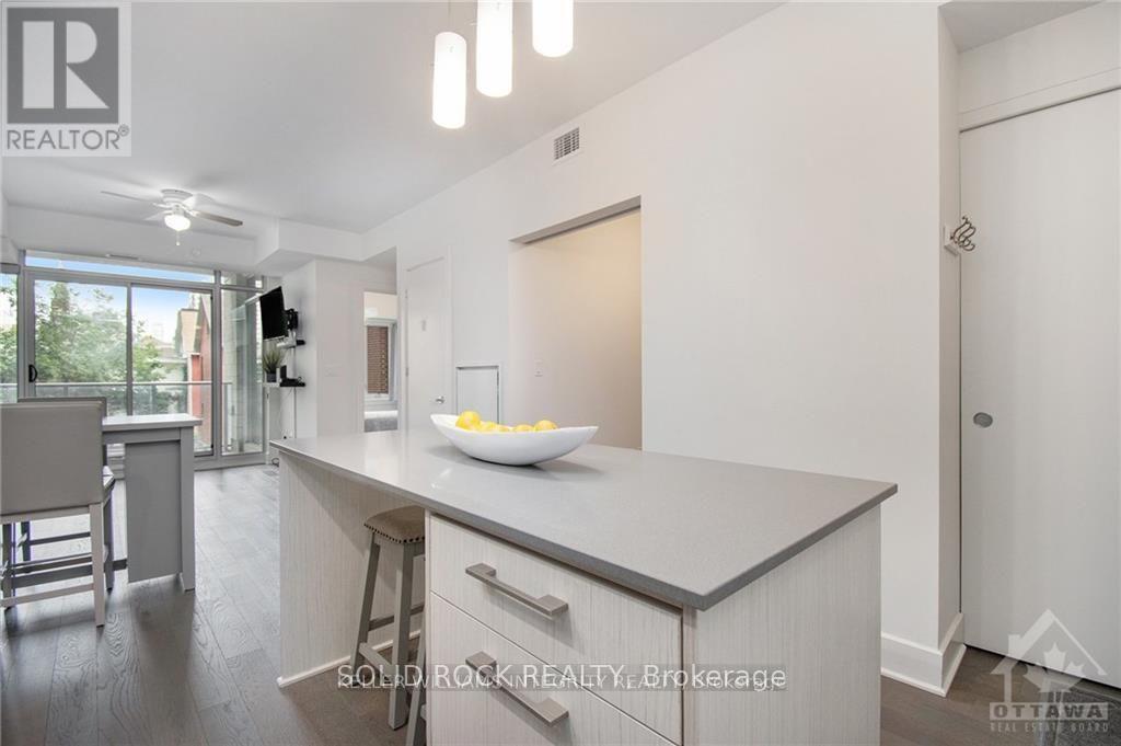 213 - 255 Bay Street, Ottawa, Ontario  K1R 5Z4 - Photo 6 - X12738176