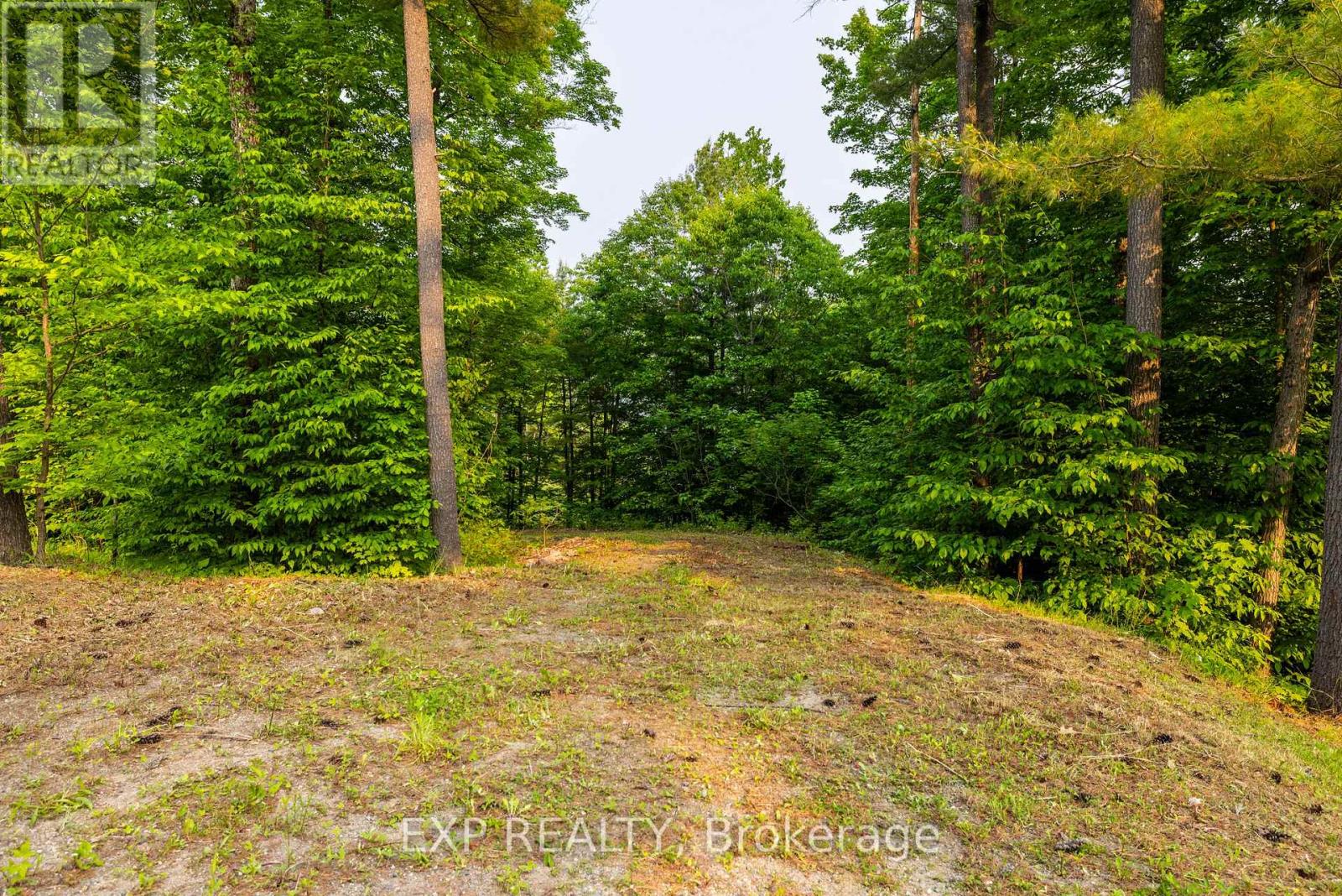 1225 Barrett Chute Road, Greater Madawaska, Ontario  K0J 1H0 - Photo 5 - X12850042