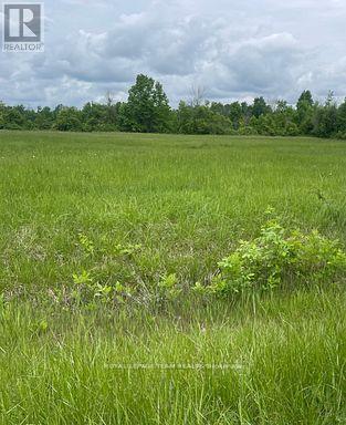 3447 Donnelly Drive N, Ottawa, Ontario  K0G 1J0 - Photo 1 - X12972288