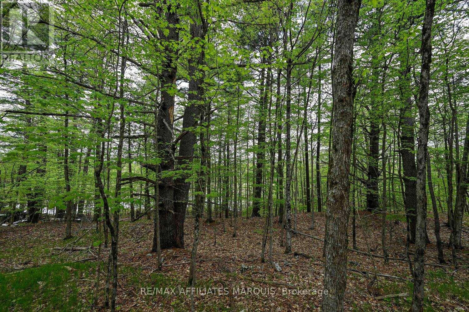 00 Clear Lake Road, Rideau Lakes, Ontario  K0G 1E0 - Photo 13 - X13001154