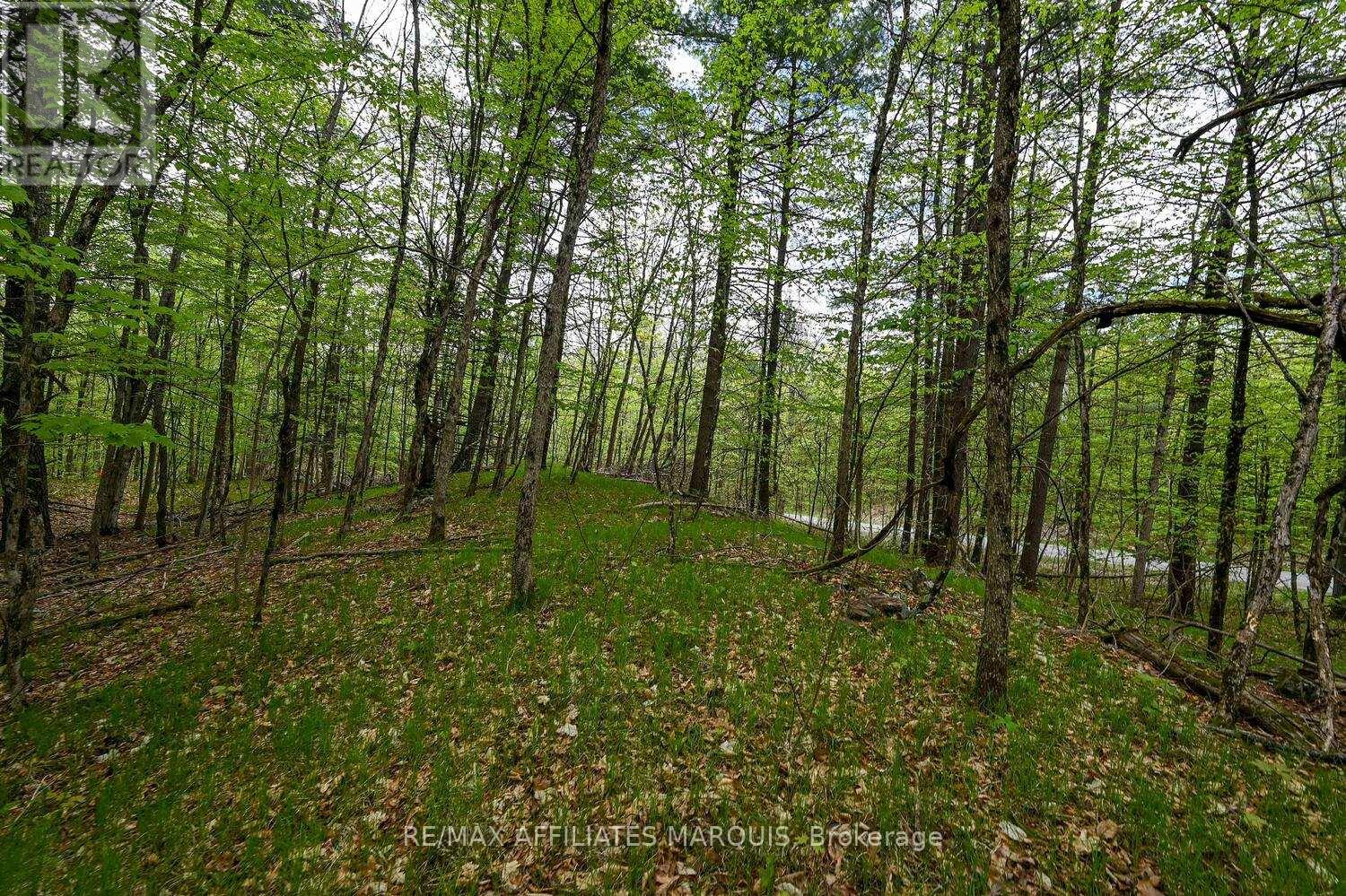 00 Clear Lake Road, Rideau Lakes, Ontario  K0G 1E0 - Photo 15 - X13001154