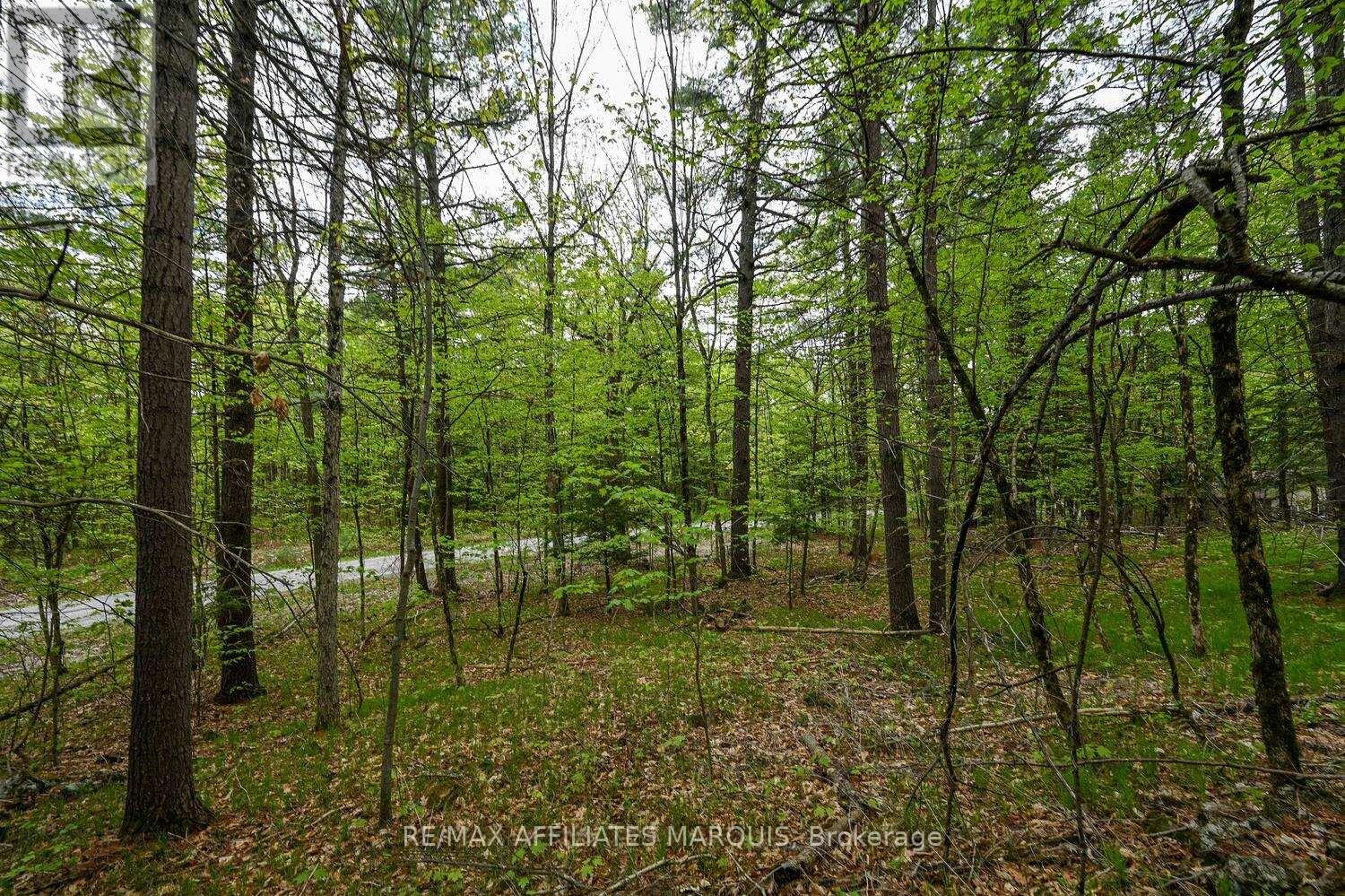 00 Clear Lake Road, Rideau Lakes, Ontario  K0G 1E0 - Photo 17 - X13001154