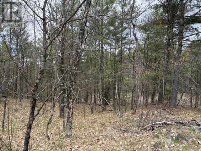 Part Lot 26 Highway 36 Road, Rideau Lakes, Ontario  K0G 1X0 - Photo 12 - X13104618