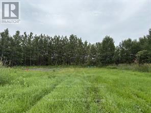 6878 Boundary Road, Ottawa, Ontario  K4R 1E5 - Photo 11 - X13116822
